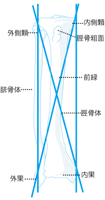 IXeIpV[łł鎖