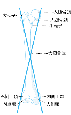 IXeIpV[łł鎖